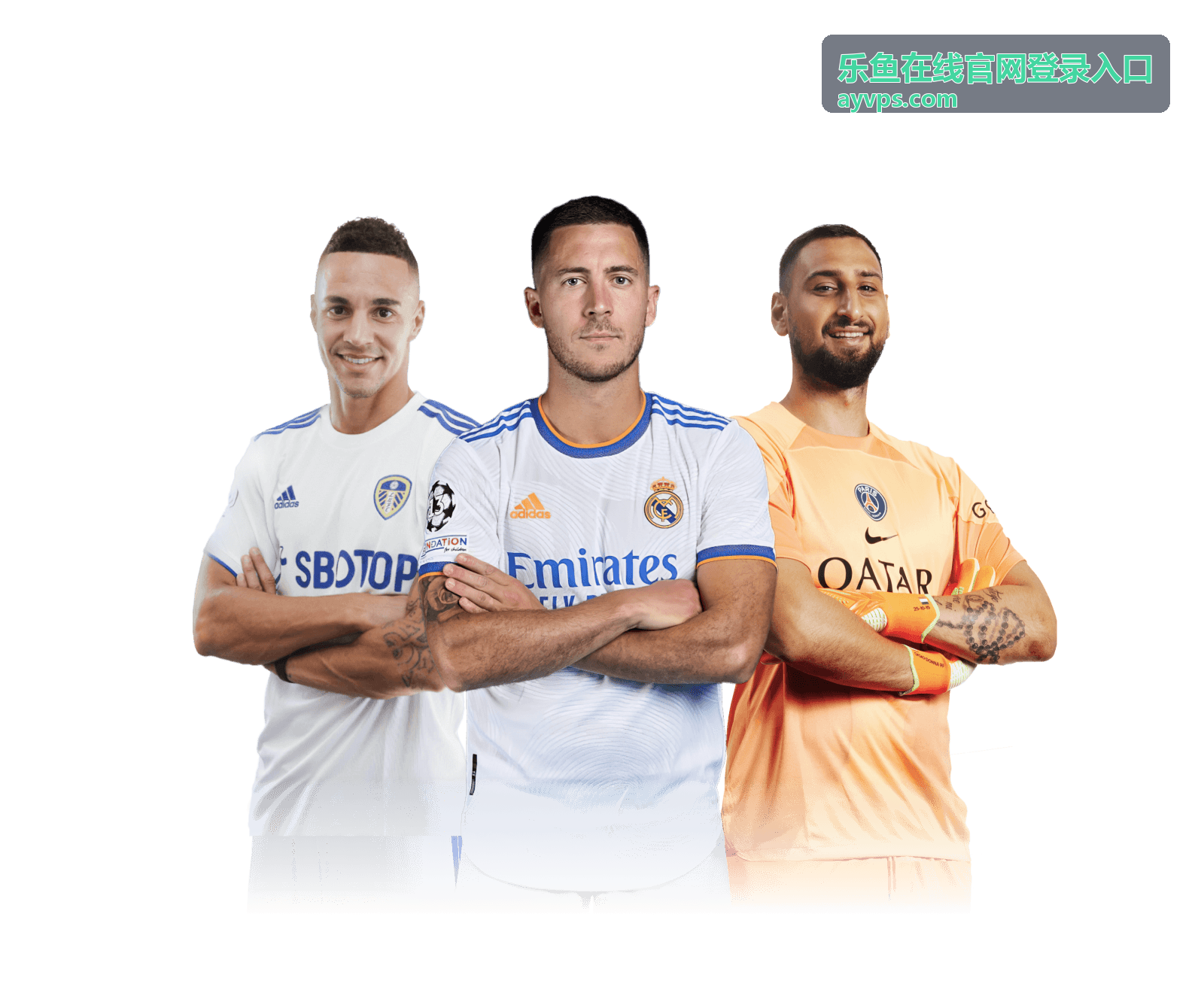 乐鱼在线官网登录入口平台介绍及服务概览